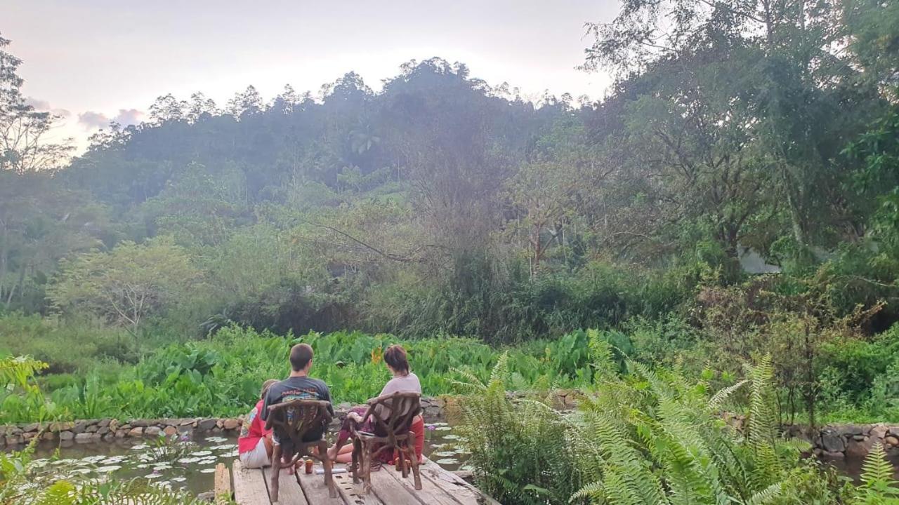 Sinharaja Forest Edge Deniyaya Luaran gambar