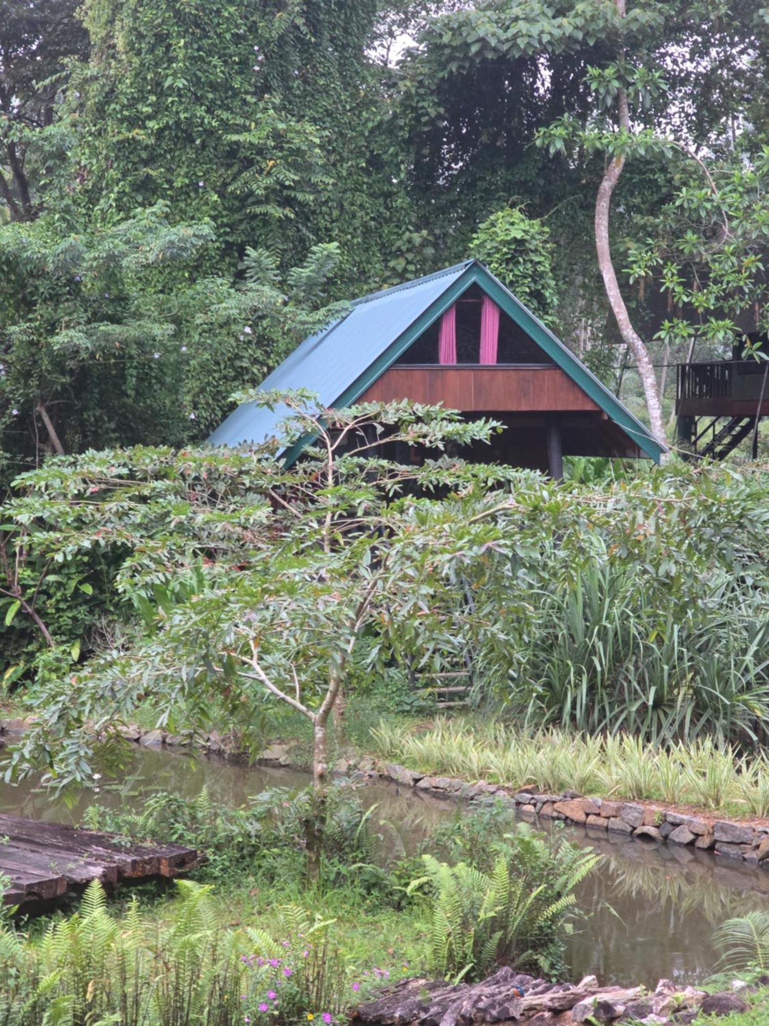 Sinharaja Forest Edge Deniyaya Luaran gambar