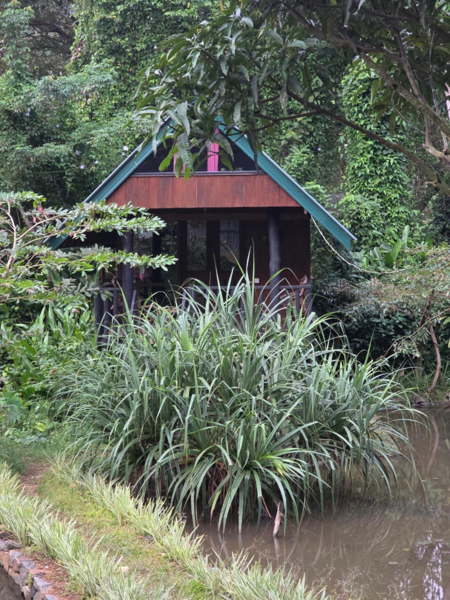 Sinharaja Forest Edge Deniyaya Luaran gambar